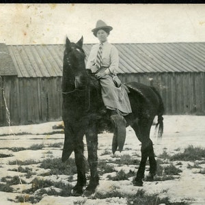 Carte postale photo originale Cowgirl à cheval à la ferme dans les années 1910