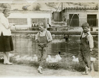 Two Boys With Their MOTHER FEEDING DUCKS at the Park - 1920s Photo Postcard