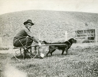 DOG Pulling Man in CART in Early 1900s Original Photo