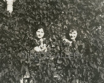 Women with FACES PEEKING Through Ivy - 1920s Vintage Photo