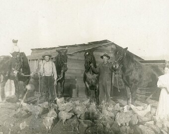 Prairie Homestead with Men Holding Horses Reins While Women Feed Chickens - c1910 Cabinet Photo