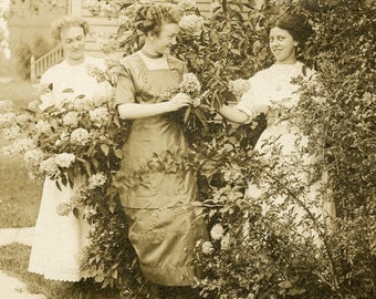 Girlfriends Wearing EDWARDIAN Era Dresses In The FLOWER GARDEN in 1910s Photo Postcard