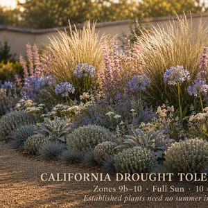 California Zone 10 Landscape - Etsy