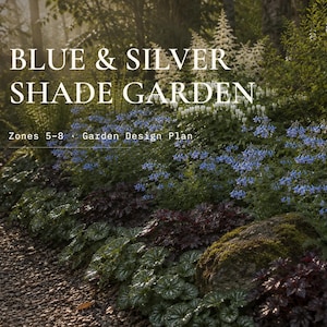 Schaduwtuinplan | Blauwe bosrand, Moon Garden Design (pdf)