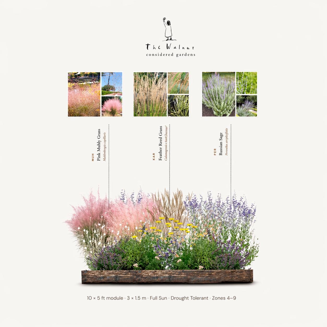 Prairie Border Full Sun Planting Plan PDF | Perennial Border Design | Prairie Garden ...