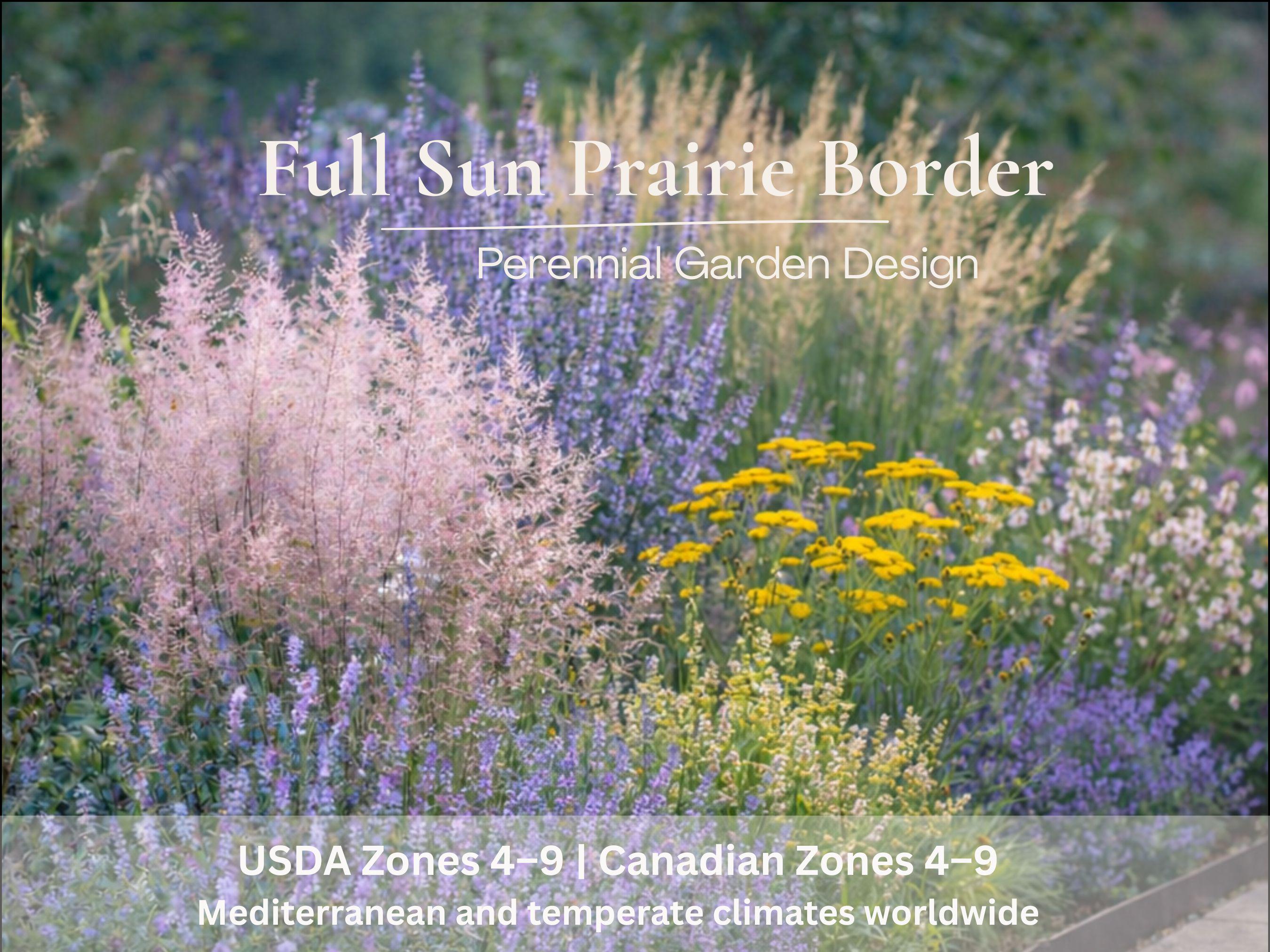 Prairie Border Full Sun Planting Plan PDF | Perennial Border Design | Prairie Garden ...