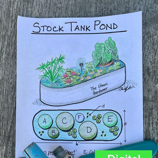 Stock Tank Pond Garden Design Landscape Planting Plan