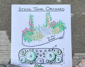 Stock Tank Orchard Garden Planting Plan Digital Download Instructions