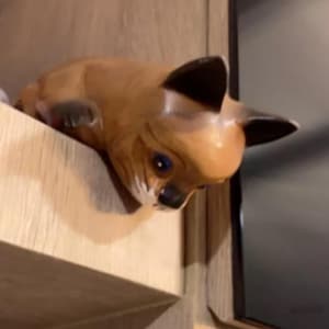 Handcrafted Wooden Carved Cat Peeking on the Table – Unique Home Décor for Cat Lovers, Perfect Gift for Pet Enthusiasts,Animal carving