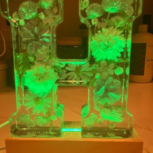 Floral beleuchteter Buchstabe: Twinkle Light Night Light (6 "Tall) kommt auf einem LED-beleuchteten Holzsockel.