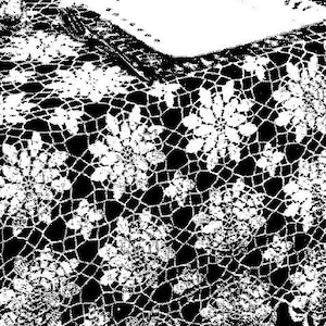 Pode incluir: Close-up de um têxtil de renda preto e branco. A renda apresenta um padrão floral repetitivo com um design delicado e vazado. Os detalhes intrincados da renda são realçados pelo contraste entre o fundo preto e a renda branca.