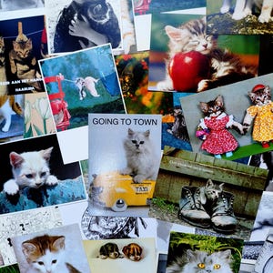 Caja misteriosa de postcrossing con temática de gatos