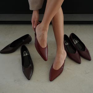 May include: A collection of women's pointed-toe flats in various shades of brown and burgundy. One pair is being worn, while others are arranged on the floor. The shoes have a sleek, minimalist design, with the brand name "J3C3" visible on the insoles.