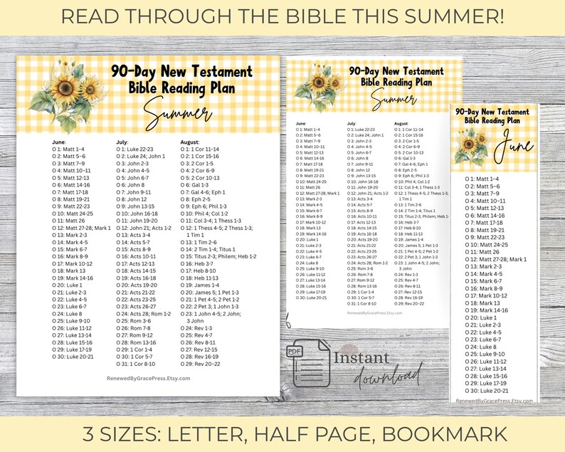 90 Day New Testament Bible Reading Plan Summer Printable Tracker PDF - Etsy