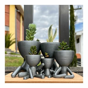 Könnte beinhalten: Eine Ansammlung von fünf grauen, anthropomorphen Pflanzgefäßen, die jeweils eine andere Sukkulentenpflanze enthalten. Die Pflanzgefäße sind auf einer Holzoberfläche angeordnet, mit einem Fenster und einer Außenansicht im Hintergrund. Die Pflanzgefäße haben ein einzigartiges, menschenähnliches Design.