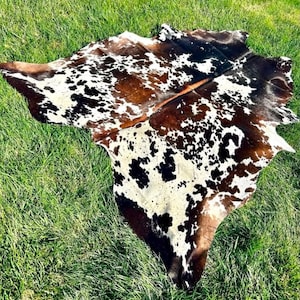 Può includere: Un tappeto in pelle bovina con un motivo tricolore naturale di macchie bianche, marrone scuro e nere. La pelle ha una forma organica irregolare con una consistenza liscia a pelo corto, che mostra una distinta distribuzione dei colori sulla superficie.