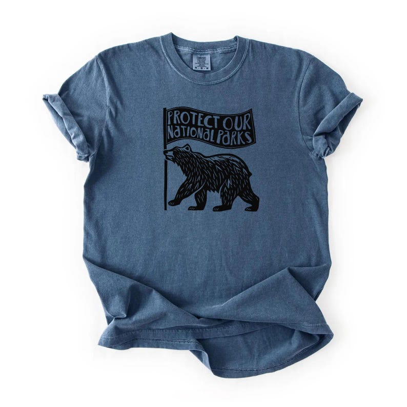 May include: A blue t-shirt featuring a black bear graphic holding a flag with the text "PROTECT OUR NATIONAL PARKS." The shirt has a crew neck and short sleeves.