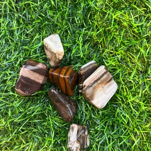 Petrified Wood Tumbled Stones