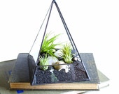 Air Plant Terrarium, Glass Pyramid Terrarium Planter. Terrarium Kit, Glass Terrarium. Geometric Terrarium, Desk Decor