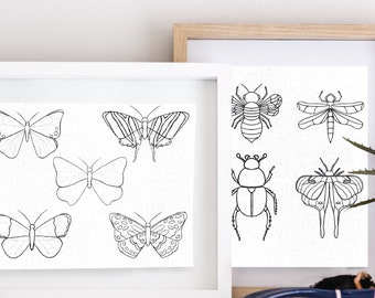 Butterflies & Insects Coloring Pages - 2 Pages - 8.5 x 11" .pdf Download - Hand Drawn Art