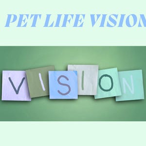 Puede incluir: Las palabras "PET LIFE VISION" en texto azul claro est&aacute;n en la parte superior de la imagen. Debajo, la palabra "VISION" est&aacute; escrita en notas adhesivas de colores sobre un fondo verde. Las letras son de diferentes colores.