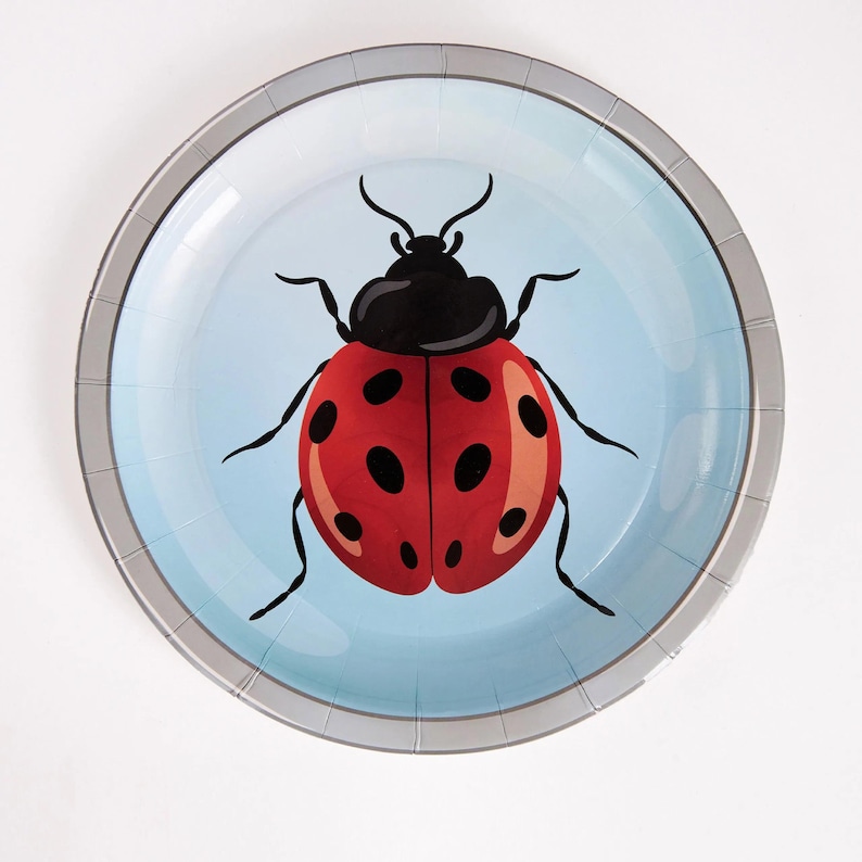 Joy Ladder Bugs 8" magnifying lens plate, design 1, front view