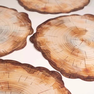 Manteles individuales con diseño de rodajas de madera para fiestas - Paquete de 16 / Artículos para cumpleaños con temática de bosque, vajilla rústica para celebraciones