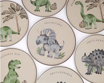 Dinosaur Birthday Plates – Prehistoric Fun Dessert Tableware (8 Count)