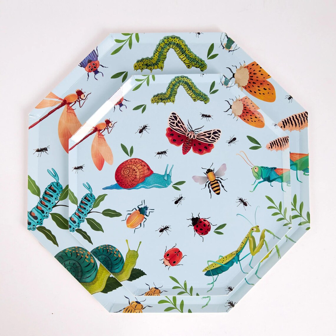 Insect Plate Design Bug Party Plates - 10