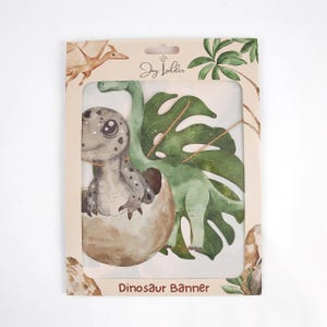 Packaged view of Joy Ladder Dinosaurs banner in branded sleeve with clear view window