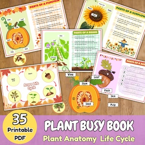 以下が含まれることがあります： 植物の解剖学とライフサイクルに関する教育用ワークシートを含む、35ページの印刷可能なPDF植物アクティビティブック。ページには、カボチャ、ヒマワリ、豆、ドングリの図が含まれており、各パーツの名称、説明文、インタラクティブなアクティビティが記載されています。