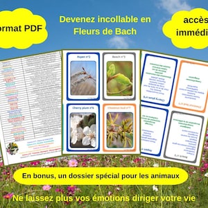 Peut inclure: Un document PDF et des cartes sur les remèdes floraux de Bach. Les cartes présentent des images de plantes et du texte. Le document et les cartes sont placés sur un fond de champ de fleurs et de ciel bleu. Le texte comprend "Format PDF" et "Accès immédiat".
