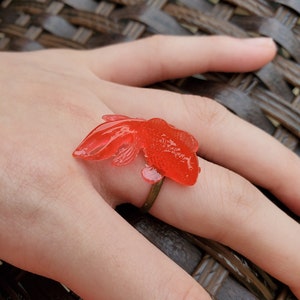 Anillo de pescado Koi