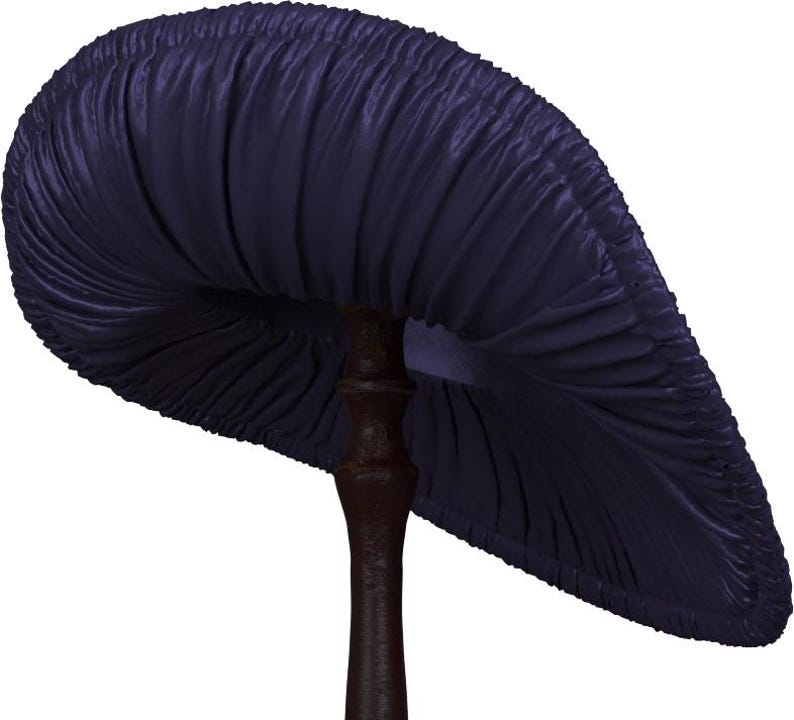 May include: A dark blue mushroom with a ruffled cap and a thick, brown stem.