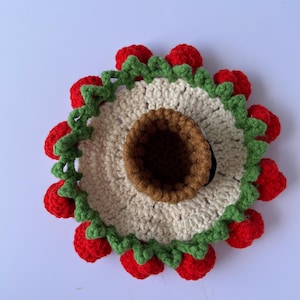 Gehaakte bloemenonderzetter, bloemenonderzetter gehaakt, roos haken, haken, Brunaticality, handgemaakt haken, decor