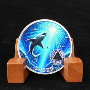 Personalized 1-65 Years AA Coin Addiction Recovery Medal, Ocean Light Celebrate Alcoholics Anonymous Sobriety Anniversary Gift for Men Women