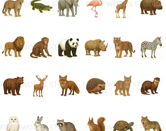 Wild & Forest Animals Flashcards| Montessori Learning (JPG,PDF)