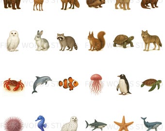 Forest & Water Animals Flashcards | Montessori Printable Cards | Digital Download