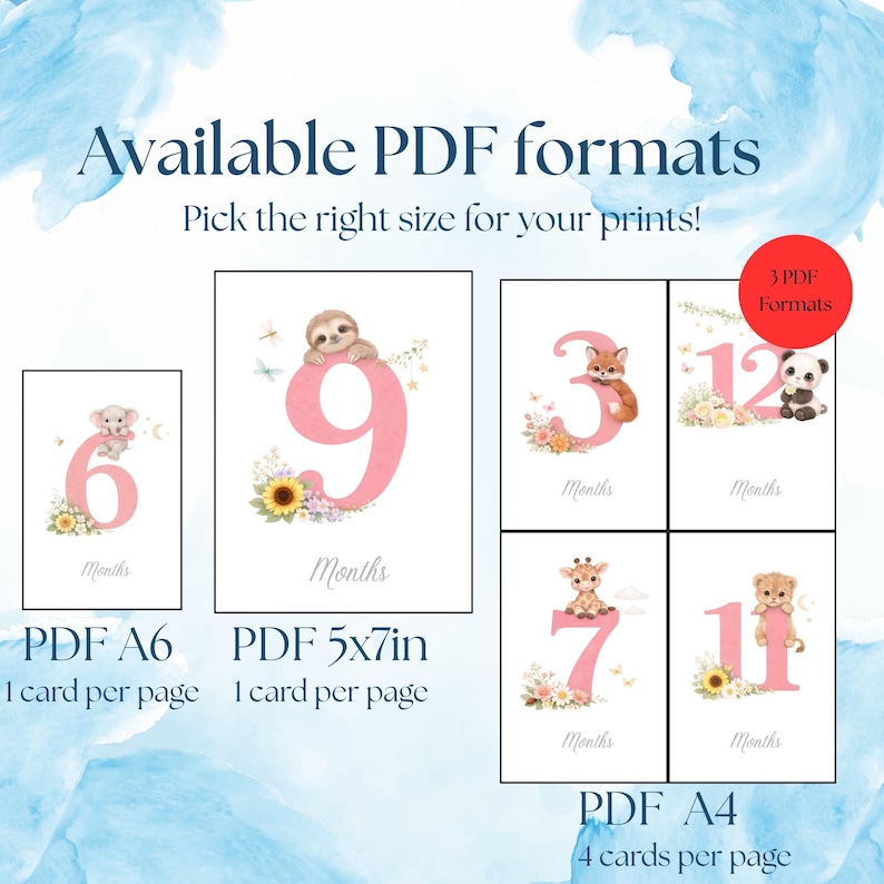Printable Baby Girl Milestone Cards | Monthly Milestones | 5x7 Digital ...