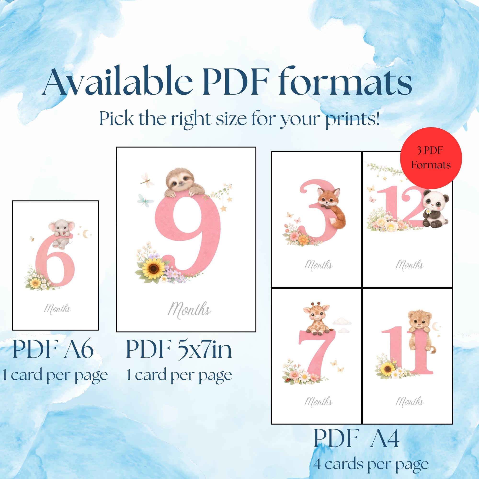 Printable Baby Girl Milestone Cards | Monthly Milestones | 5x7 Digital ...