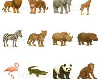 Montessori Wild Animal Flashcards | Toddler Learning Cards (Digital Download)