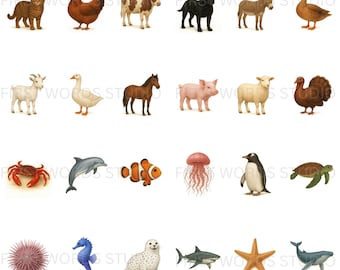 Farm & Water Animals Flashcards | Digital Montessori Cards for Speech and Learning