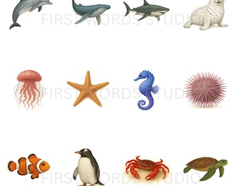 Montessori Water Animal Flashcards |Toddler Learning Cards (Digital Download)