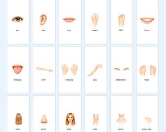 Body Parts Flashcards for Kids | Montessori Printable Cards | Preschool Learning PDF