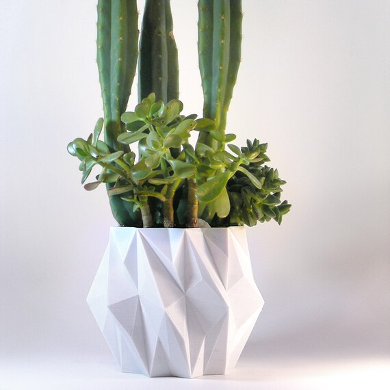 plant pot modern centerpiece