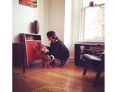 Mid Century Modern Cat Scratcher | Modern Cat Furniture | MCM Walnut Console Table | Changeable Scratch Pad  "Cat Console"