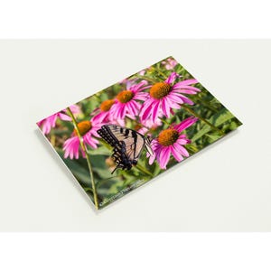 Cartes de voeux florales - Lot de 10, écologiques, personnalisables, parfaites pour toutes les occasions, cartes vierges