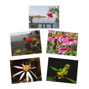 Bloemenwenskaarten met Schrifttekst, milieuvriendelijke kaarten, gepersonaliseerde notities, kaarten voor speciale gelegenheden, bedankkaarten, Bijbelkaarten