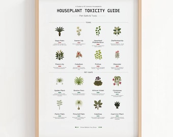 Gids voor huisdierveilige planten: poster giftige en veilige kamerplant | Botanische afdruk direct downloaden