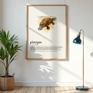 Lámina con diseño de ornitorrinco / Arte mural de animales / Póster de naturaleza (descarga instantánea)